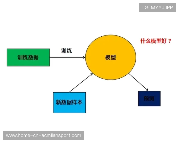 体育赛事影响力评估模型被广泛采用