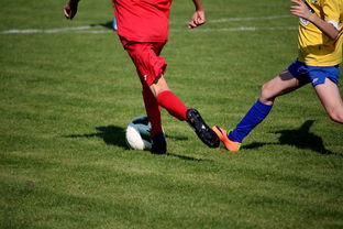 世界皮划艇世界杯中国男队勇摘银牌，世界皮划艇冠军男子