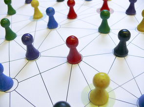 中国篮球教练员专业能力提升路径，篮球教练员的专业技能包括哪些方面