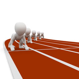 中小学体育健康教育课程内容优化研究，中小学体育健康教育课程内容优化研究心得体会